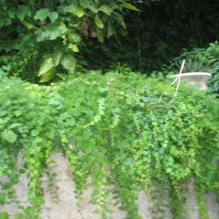 Pile Marina Apartament