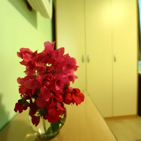 Pile Marina * Dubrovnik