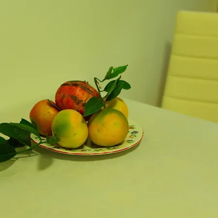 Pile Marina Apartman Dubrovnik