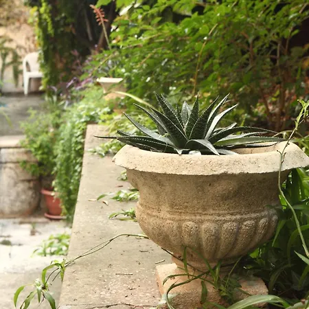 Apartment Pile Marina *