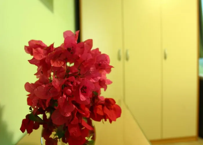 Pile Marina * דוברובניק