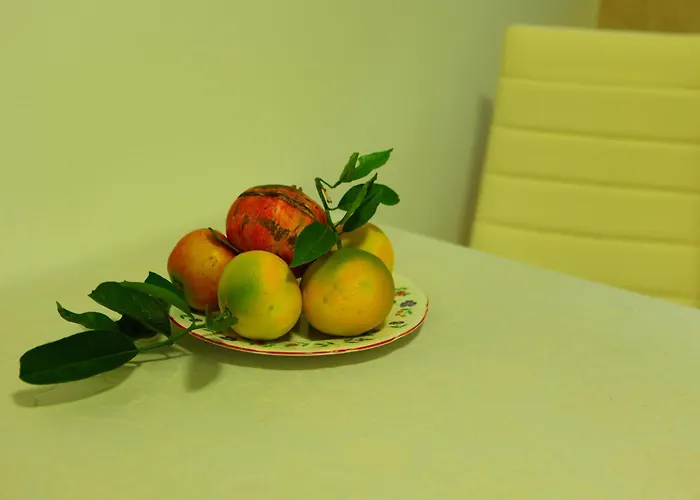 Pile Marina 公寓 杜布罗夫尼克