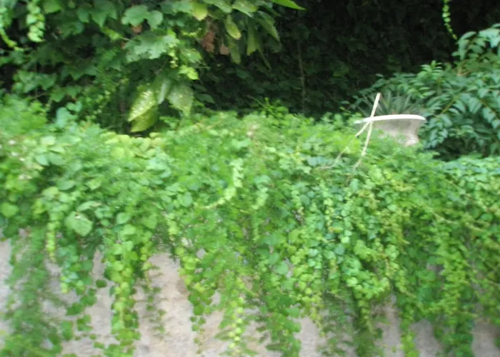 Pile Marina דירה