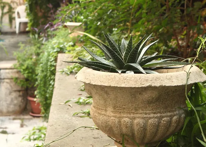 דירה Pile Marina *